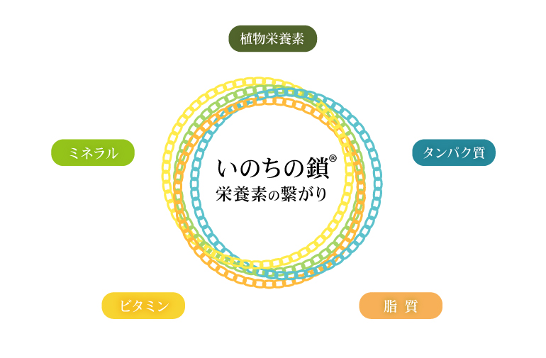 いのちの鎖®　栄養素のつながり