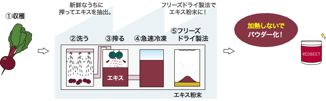 ボタラボレッドビーツの生絞り製法