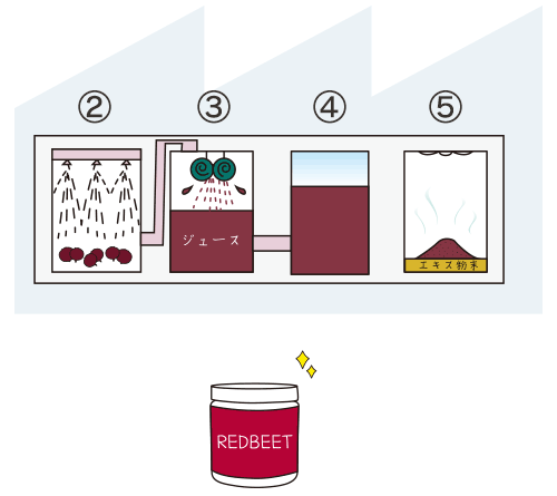 ボタラボレッドビーツの生絞り製法