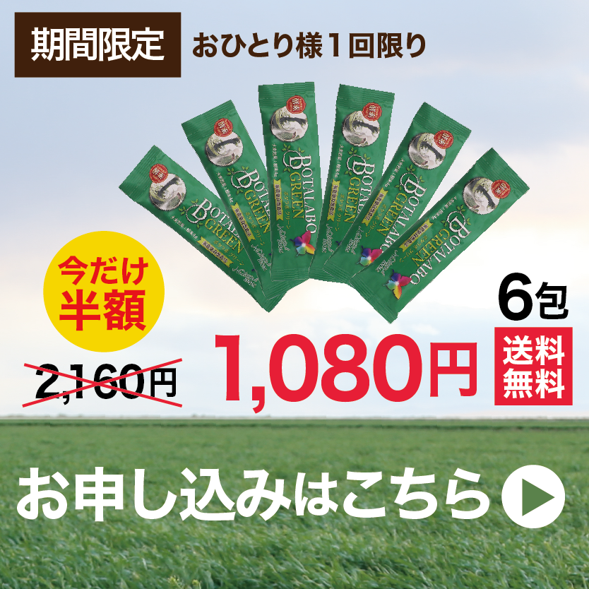 キャンペーン15
