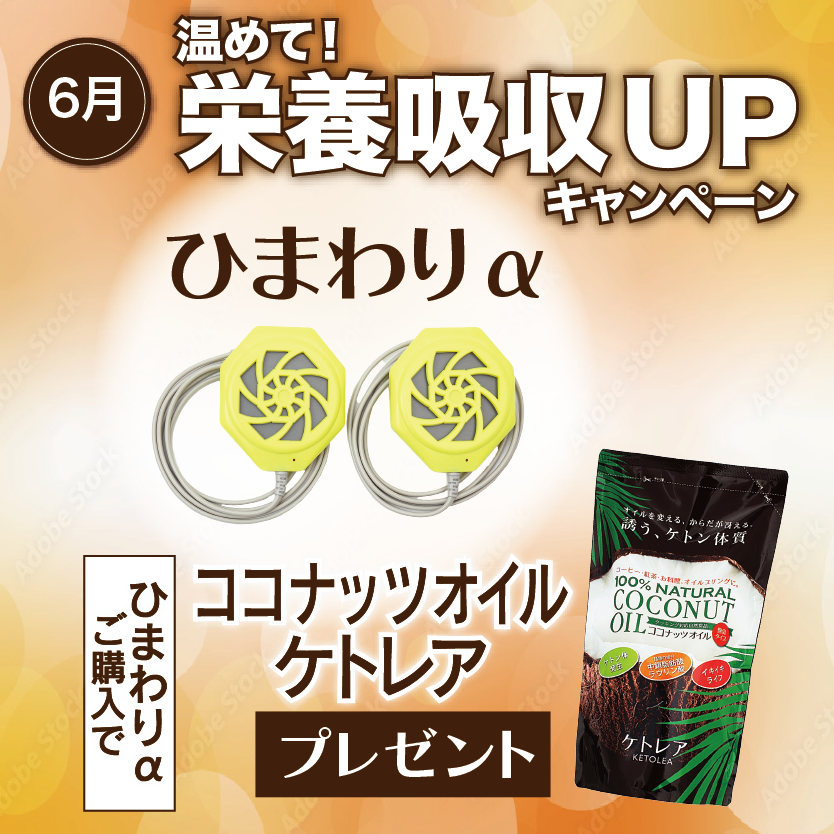 キャンペーン713